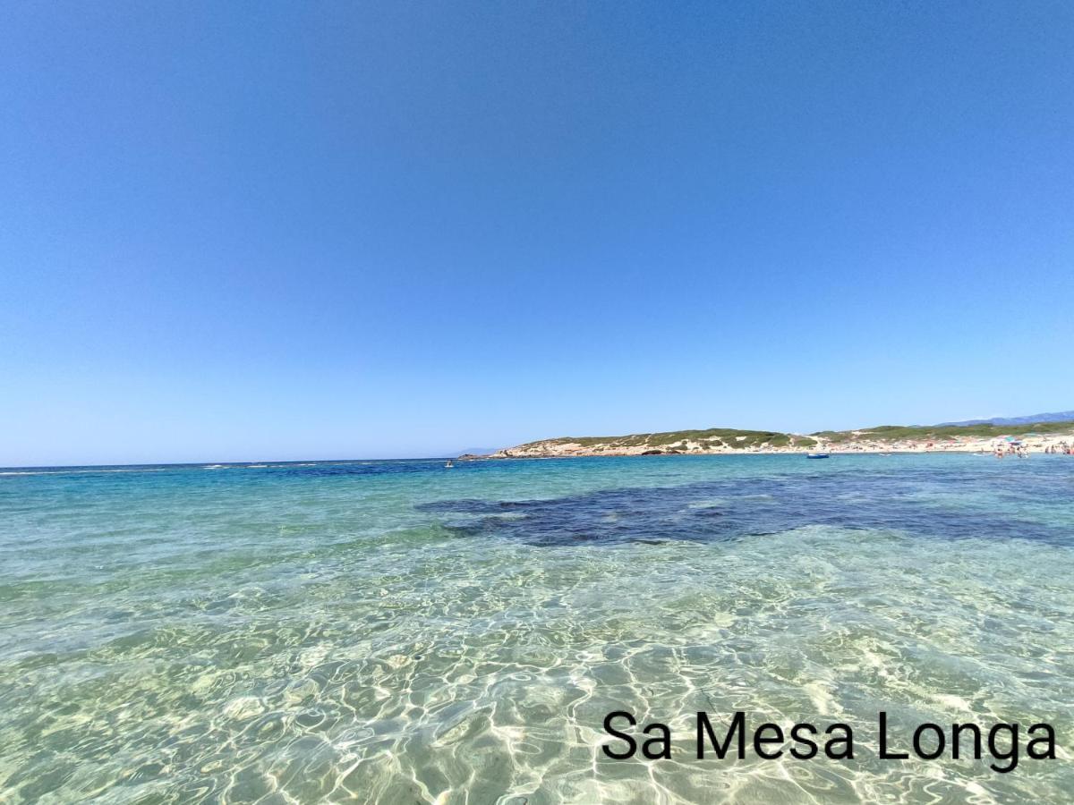 Alabe Marina Di